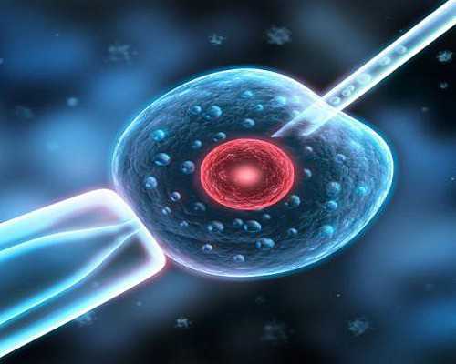 古玩书籍_如何做到合理的营养膳食?