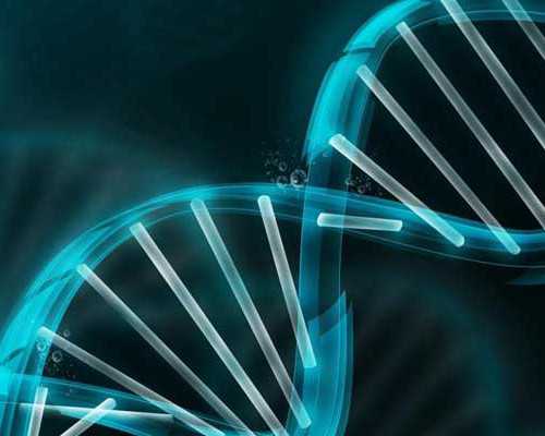 古玩鉴定公司的套路_福建省美协组织“海洋文化”采风写生活动