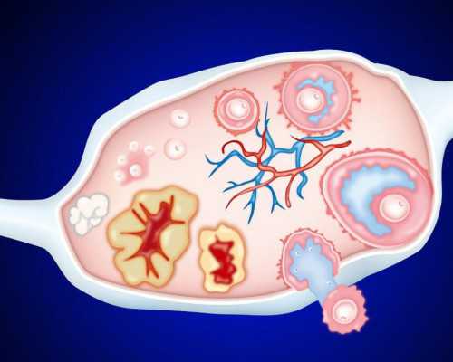 邮寄香港验血会出错吗_怀孕88天能看出男女吗_真实经历,希望可以帮到你