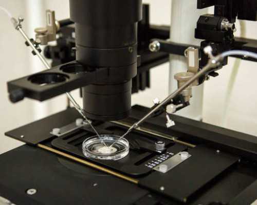 香港验血鉴定男女怎么看结果_香港libra化验所官网,告诉你邮寄验血准不准？