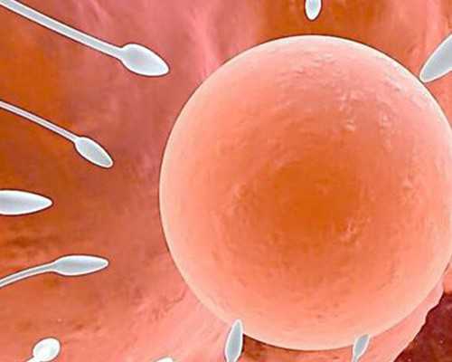 临沂四十天验血香港_分享一下:怀孕6周多可以香港验血吗？实例分享！看完你还