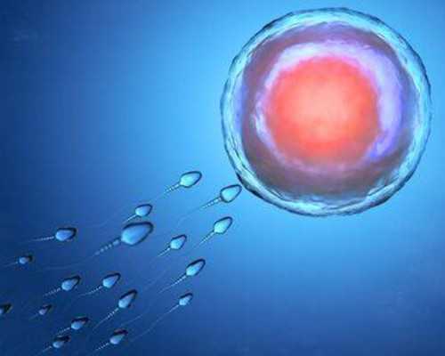 怀孕香港验血需要本人去吗_香港验血去哪里抽血_验血查性别哪个验机构准