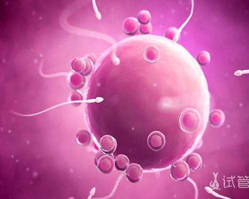 重生古玩人生全文阅读_2016年，拍卖市场的深度调整依然继续