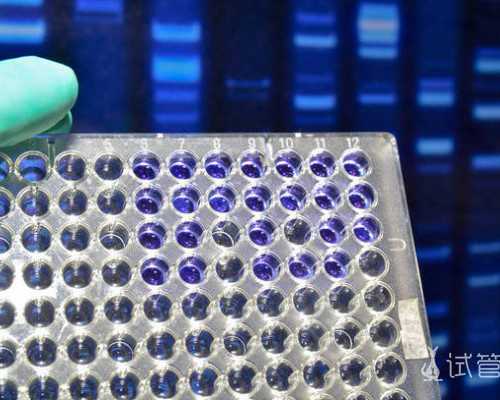 成都古玩鉴定交易中心,爱情中抓得住人却抓不住心的星座