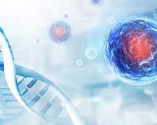 香港时代官方网验血_香港验男女正规诊所_查性别详细流程是什么!