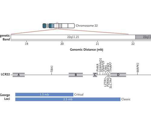 香港验血 自然受孕_以“见证”为话题的作文怎么写？求一篇作文题目为《见证