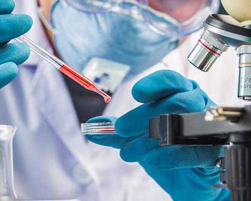 苏州有香港验血中介吗_作文《我》600字初中作文我真＿＿（作文）