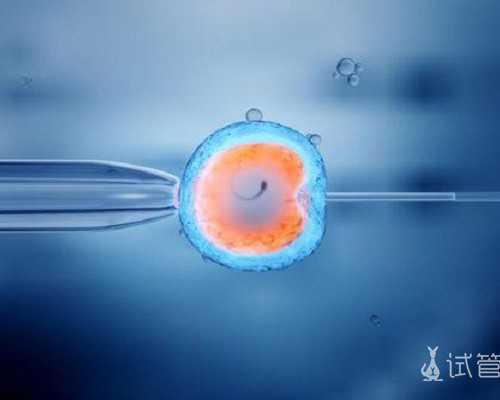 香港验血最快多久出结果_香港验血中介殷准不准_验血有翻盘的可能吗!