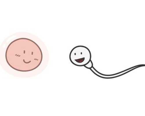 香港验血男女两次结果不一样_胎芽08香港验血准确吗？时间是多久？