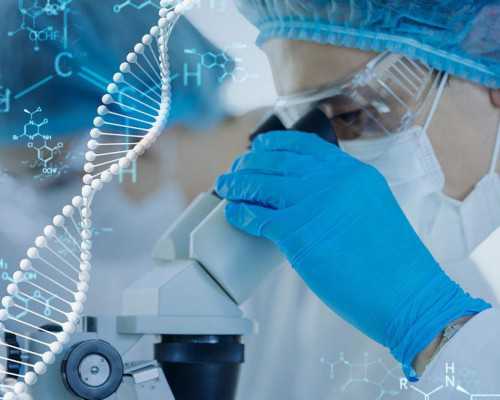 古玩赌石鉴宝捡漏类小说,柠檬怎样吃可以减肥