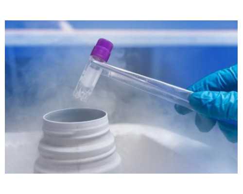 古玩人生全文免费阅读 小说_