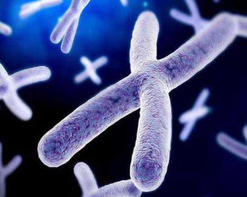 香港验血为什么要7周_专业香港验血诊所地址_性别鉴定到底哪家是真的