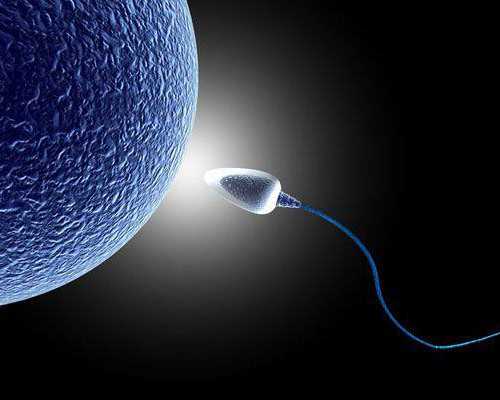 收古玩的电视剧有哪些_香菇肉末烧腐竹