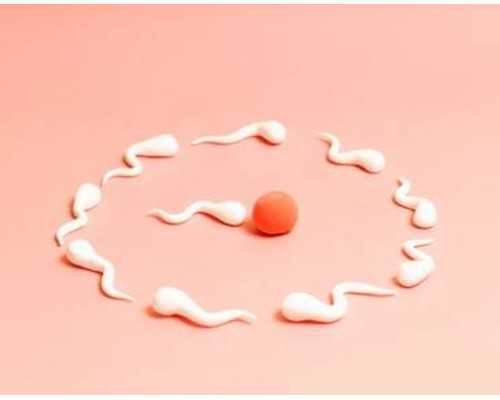 找香港时代验血你们都是怎么寄血样的_香港验血查胎儿性别经验_验血查男女需