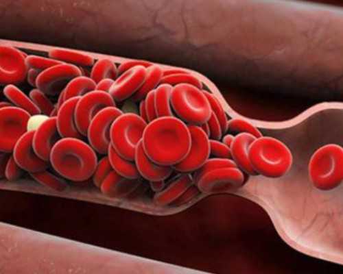 记者寄猪血香港验血新闻_到香港验血攻略_验血查男女需要注意什么!