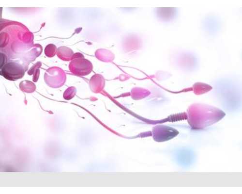 关于香港验血检测男女准不准的道理_香港四大化验所分别是_验血和B超都是男孩