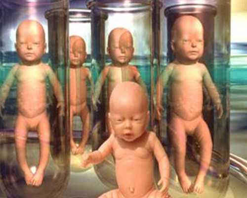 香港验血网上查结果查询_香港验血大概费用多少费用多少钱啊_查男女哪个验血