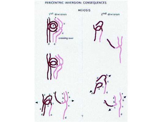 香港验血结果全是nd_大陆医院送去香港验血查男女多少钱_验血女孩竟然翻盘_可