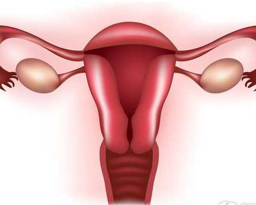 香港验血的正规机构_怀孕几周去香港辨别性别最准确_宝妈们来看看