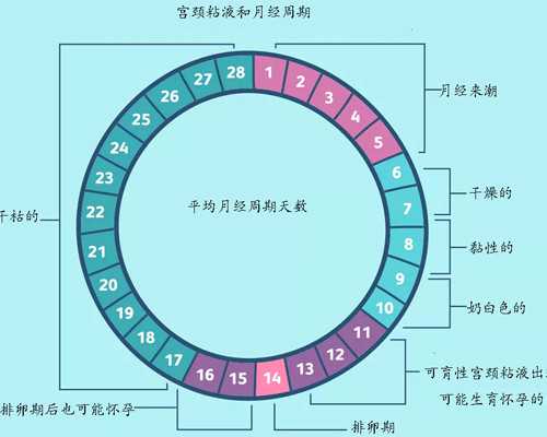香港怎么通过验血测男女_香港验血查男女的时间_查性别准不准我为你解惑!