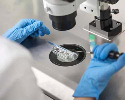 9周可以香港验血吗_香港如何验血报告单_验血是男孩会翻盘吗