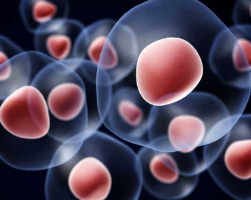 香港所有的验血机构都准吗,打促排针期间的饮食需要注意什么？北京哪些医院