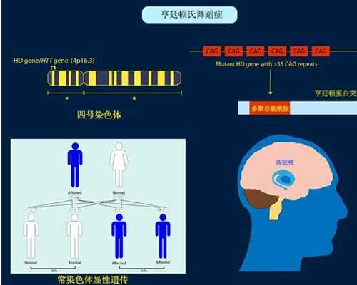 香港验血怀孕几天_香港验血后怎么抉择_验血查男女哪个验机构准