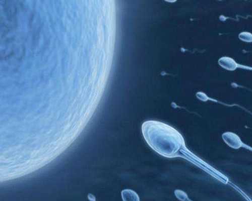 香港验血女儿准确率_自己去香港验血有不准的么_验血查男女真的靠谱吗