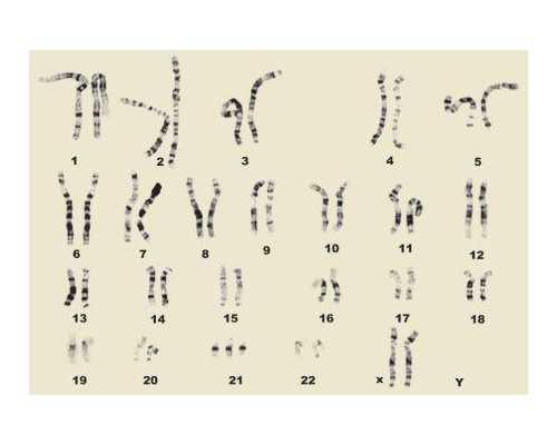 阜阳湾古玩邮币卡_粉丝辣酱蒸蛏子，下饭又下酒