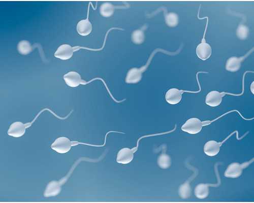 香港验血查男女时间_孕妇到香港验血费用准不准_性别鉴定六周和七周哪个更准