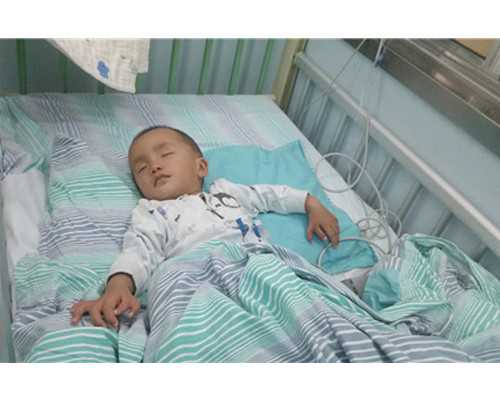 香港验血四大研究所,泰国试管婴儿专家分析：养囊的两个重要作用