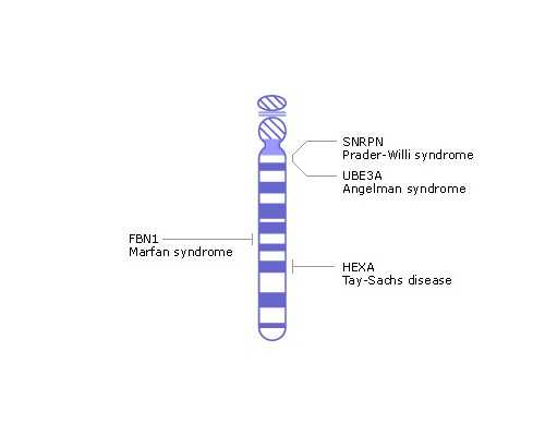 广西南宁邮寄香港验血_香港验血是女孩准吗_验血两次结果不同是真的吗!