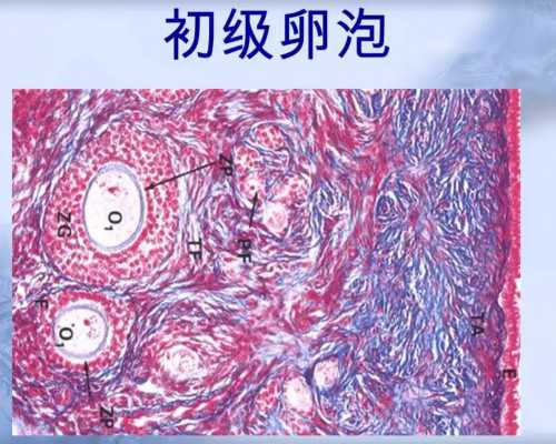 中国十大有名古玩市场,做拇外翻手术微创