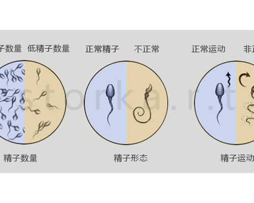 香港验血要多少天才能验_香港验血以后多少周b超_查男女医院机构检测中心哪家