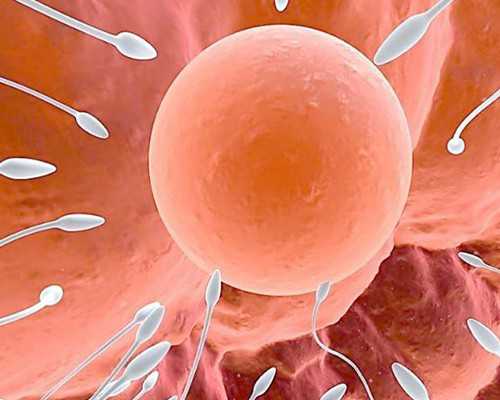 搜索下载中华古玩网_可以瘦到让你尖叫的自制瘦身汤