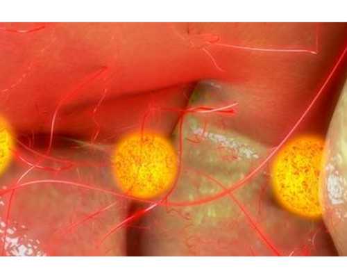 香港验血六周没有七周准确_有没有人去香港验血结果是不准确的_验血查性别哪