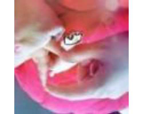 香港验血后3个月又怀孕怎么办_深圳中介验血会造假吗_是不是真的靠谱!