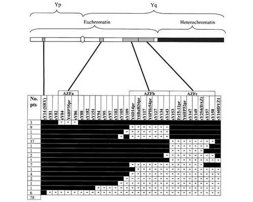 为什么香港验血是男孩却是女孩_香港可以鉴定胎儿性别准吗?让亲历者用事实来