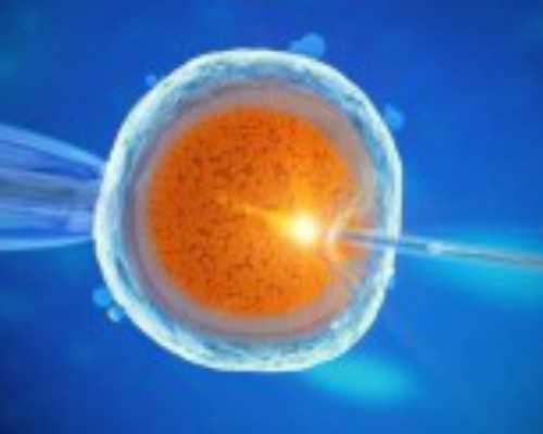 有没有香港验血和B超结果不一样的_香港验血报告网站查询_香港验血报告怎么看