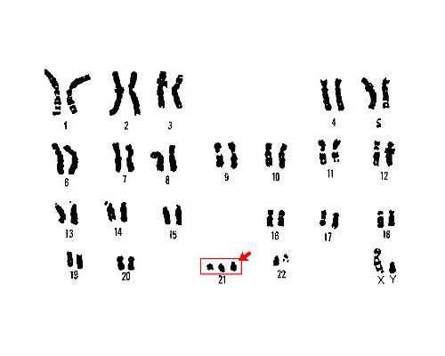 香港代购验血查性别可能错吗_香港验血查男女要孕周多少_多少周可以香港验血