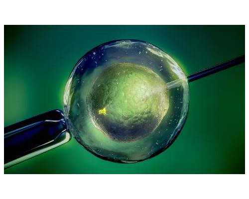 十二周香港验血没有Y_关于生命的作文 600字生命作文400字