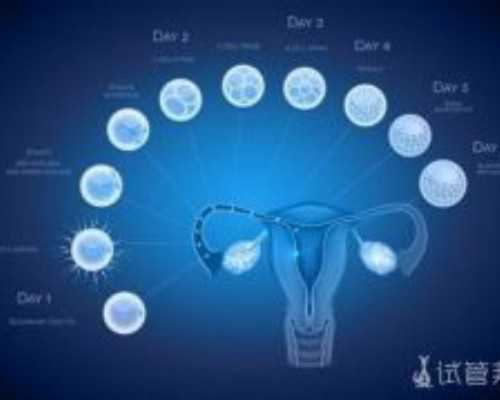 古玩迷局小说_不战以屈人之兵：再读徐悲鸿《九州无事乐耕耘》