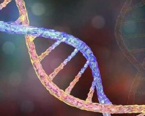 多少周内香港验血_以我的人生哲学观为题写一篇论文哲学论文（四千字左右）