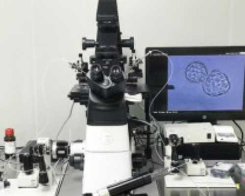 香港6周验血有心跳就可以_香港哪个医院可以抽血查男女性别_查男女哪家准确率