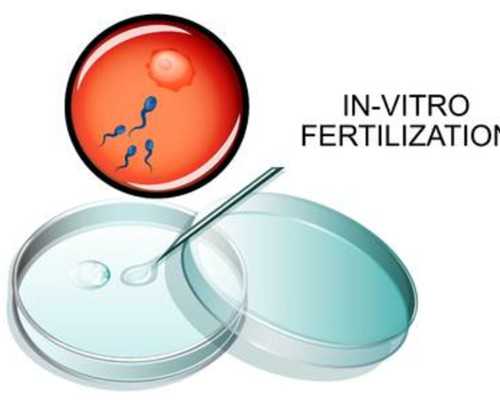 香港验血8周多可以吗_送香港查男女几天出结果_怀孕几周去香港验血查男女最准