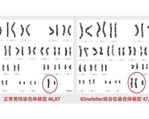 找中介验血送去香港联系人_孕妇去香港验血有哪些条件？我的亲身经历告诉你