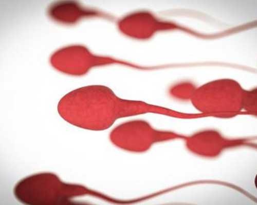 赣州古玩城_匡时呈献须磨弥吉郎旧藏：齐白石的东瀛情缘