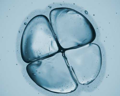 古玩字画交易市场_猴菇鸡腿骨靓汤