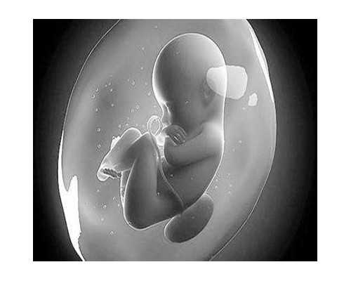 香港验血预约方式_香港验血鉴定宝宝性别_你最担心的问题答案都在这!