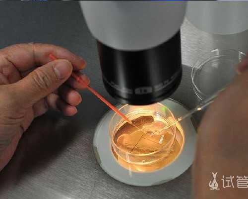 香港验血七周查不查的出来_香港DNA验血报告单准不准_测性别选择哪家!